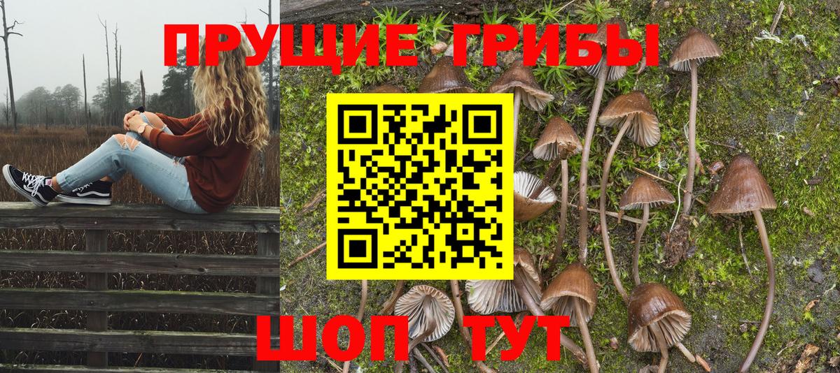 Псилоцибиновые грибы Psilocybine cubensis  Вход с VPN  Пугачёв 